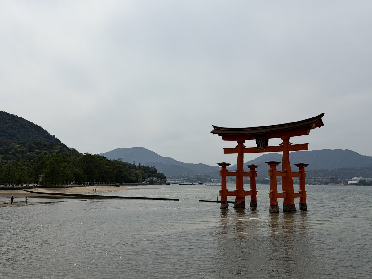 大学の同期と広島行ってきた
昼飯はあなごめし
その後に厳島神社行った
 #ざつ旅