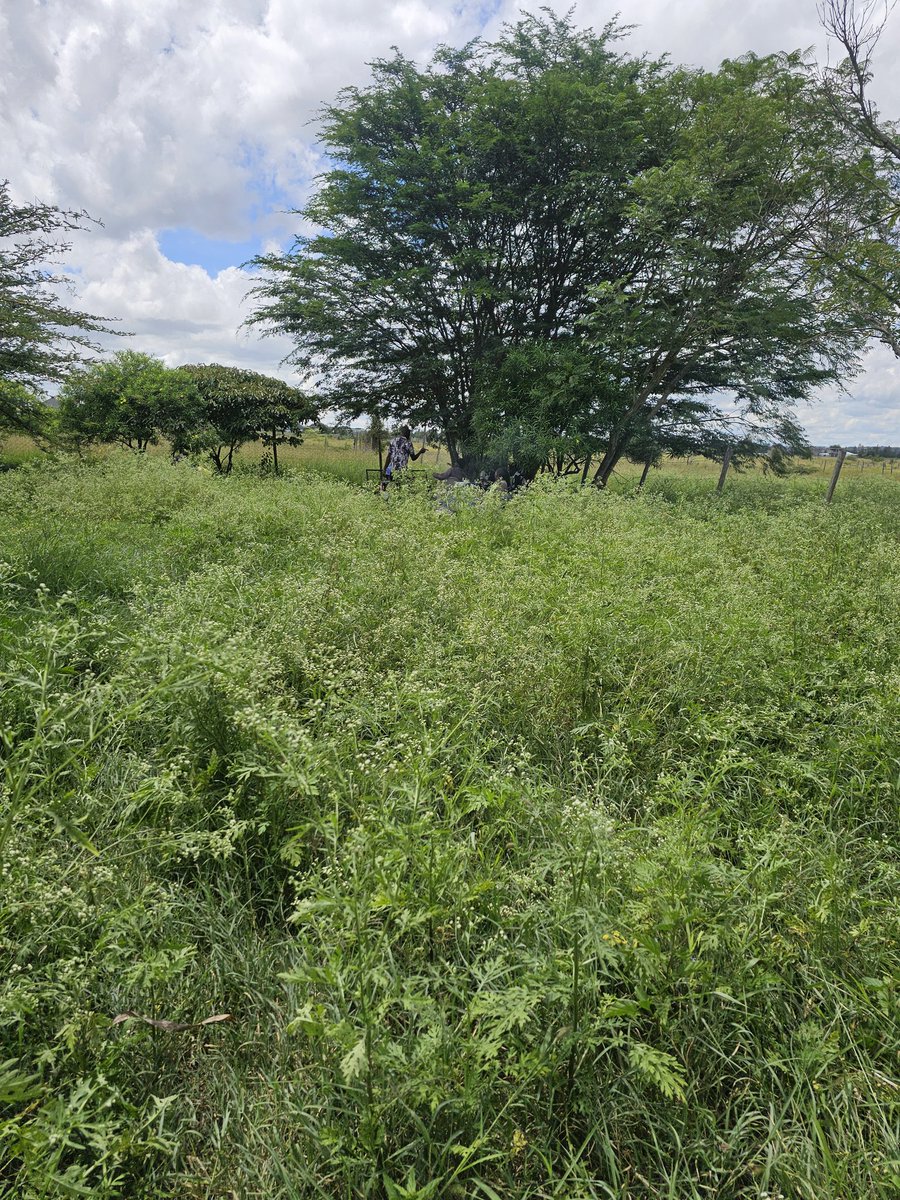 David Muturi Mwai tweet media