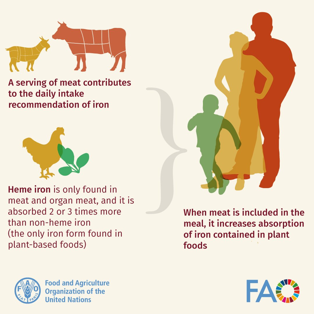 FAO Livestock tweet media