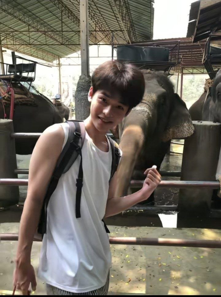 小七爱吃饭 tweet media