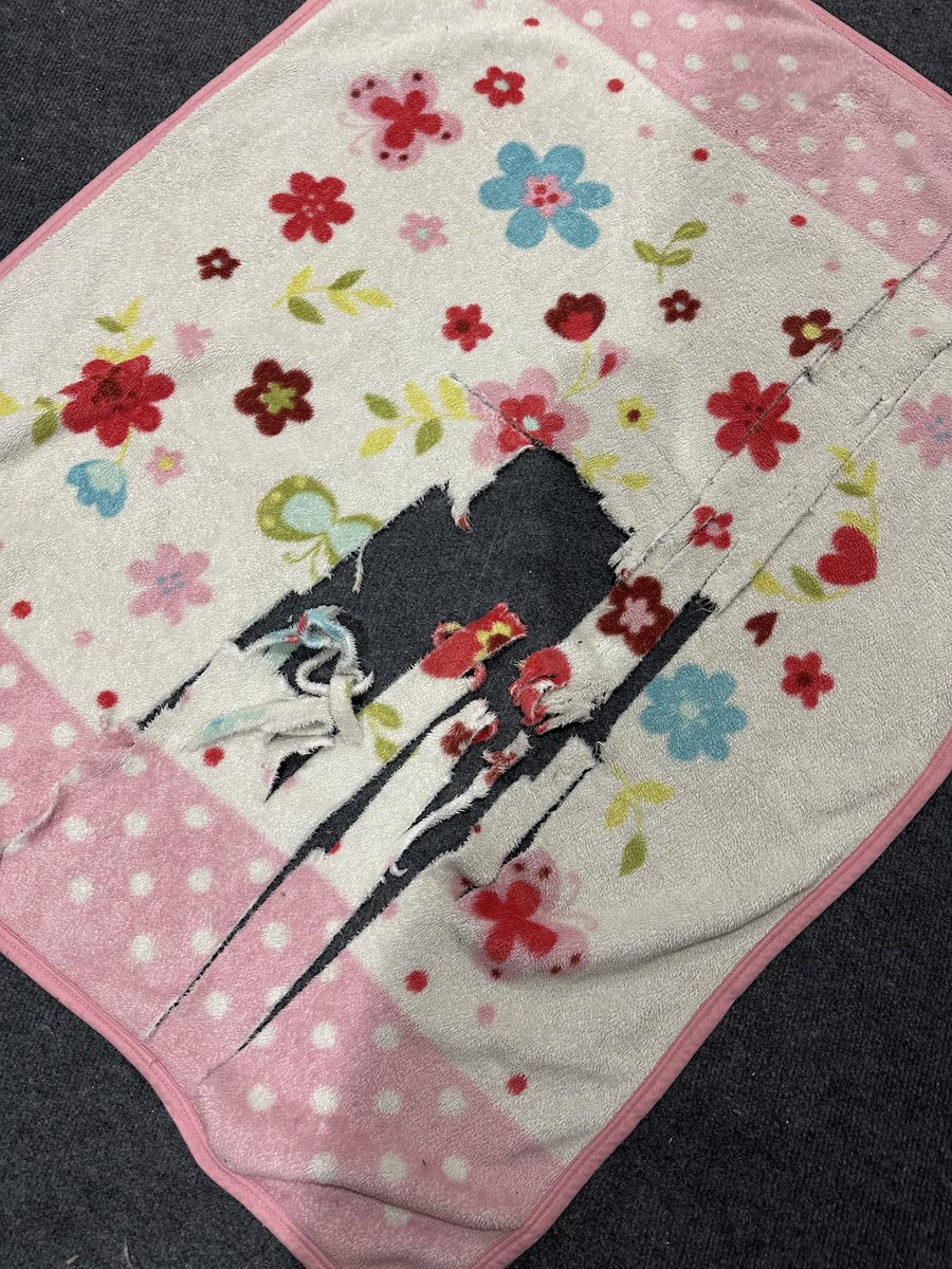 いねが🪣👹🔪 tweet media