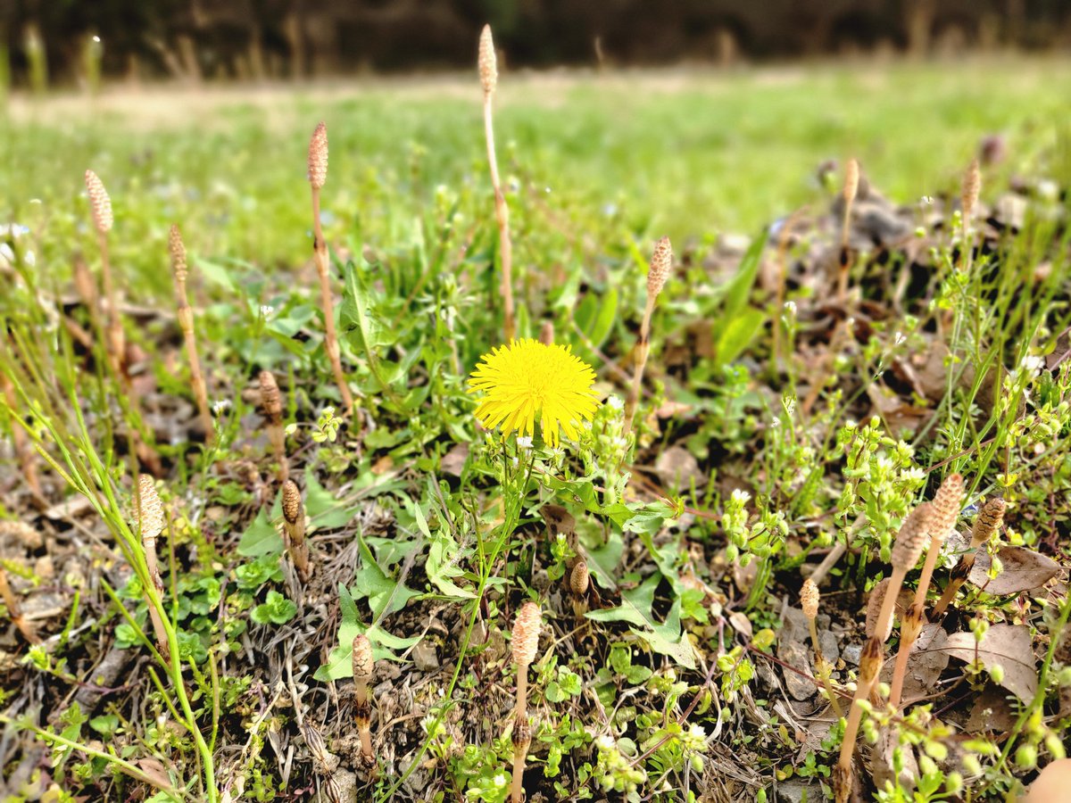 mush💀😹🌾 tweet media