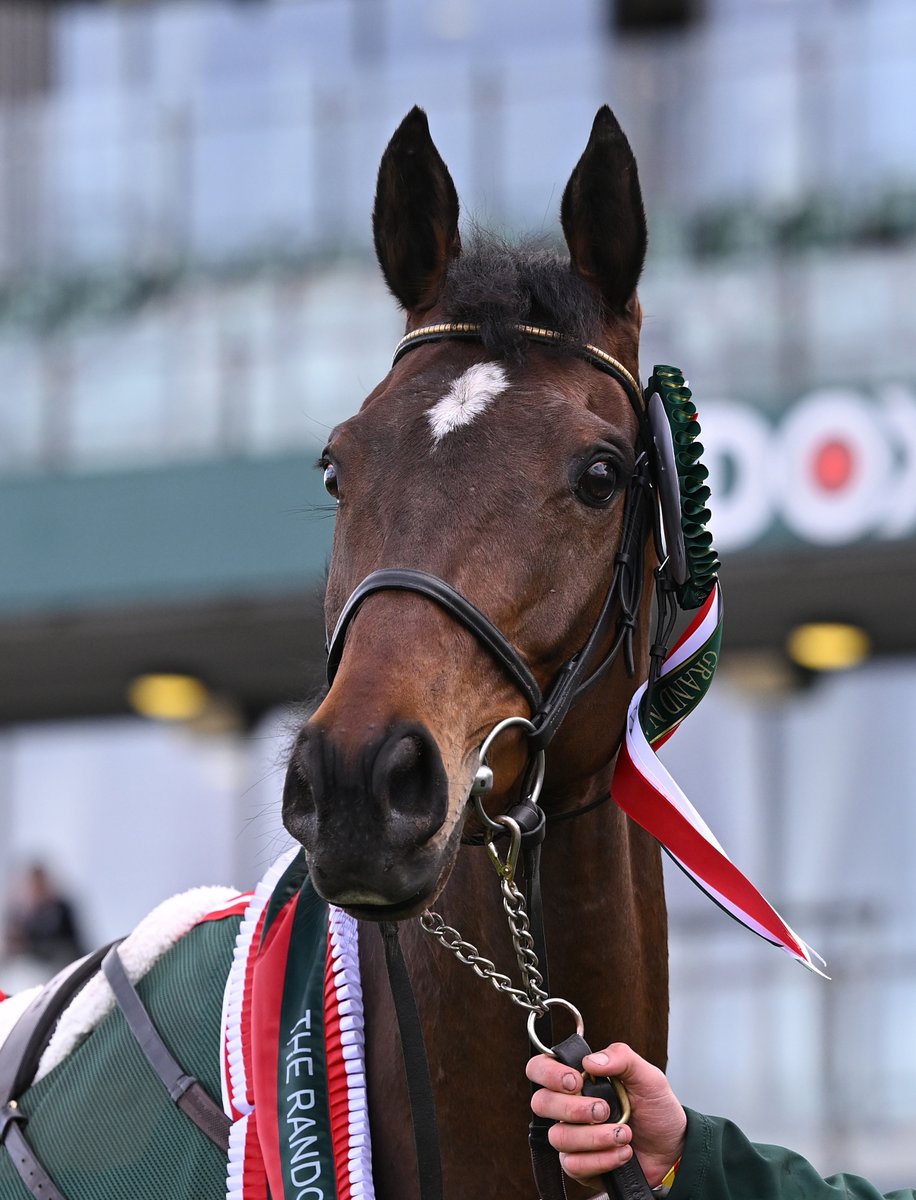GBRacing's tweet photo. What a horse I Am Maximus is 😍

An Aintree all-time great ⭐ https://t.co/cw0TiDY3Ag