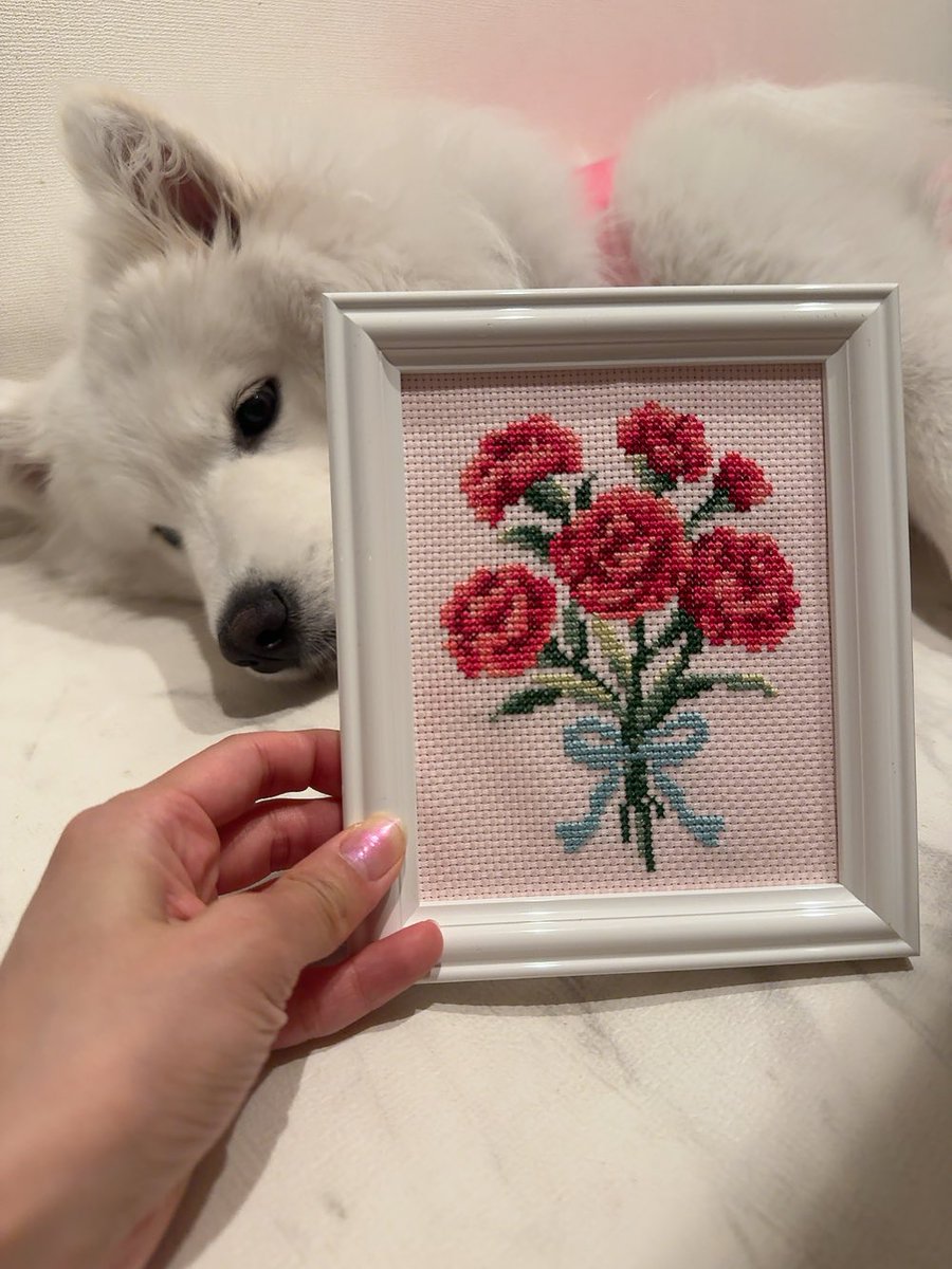 内田 秀 ㅣShu Uchida tweet media