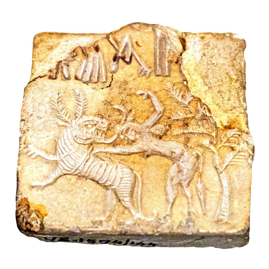 IndiaAesthetica's tweet photo. Indus valley seals at National Museum, Delhi  🐅🐂👑🇮🇳 https://t.co/sUOR3yxnLK