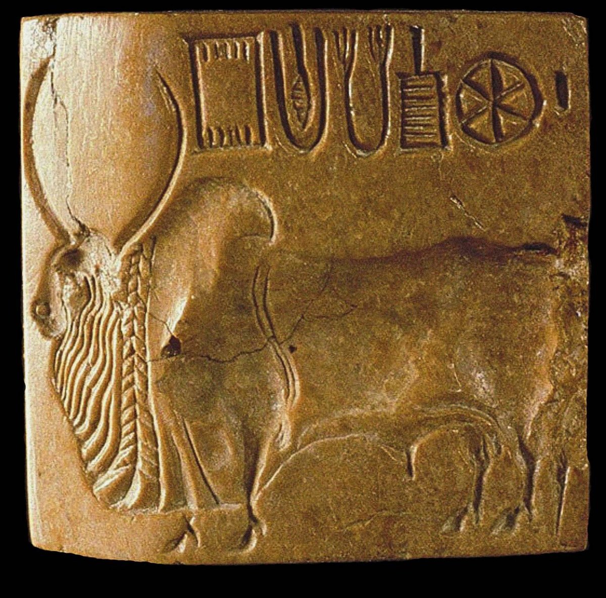 IndiaAesthetica's tweet photo. Indus valley seals at National Museum, Delhi  🐅🐂👑🇮🇳 https://t.co/sUOR3yxnLK