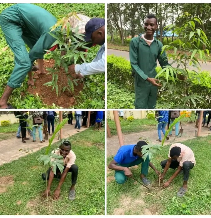 Greenthumbhort's tweet image. Happy International Plant Appreciation Day 

Plants cool our environment, improve air quality, and create healthier, more comfortable spaces. The difference between a hot space and a cool one is often greenery.

Now more than ever, planting is not just for beauty, it is essential