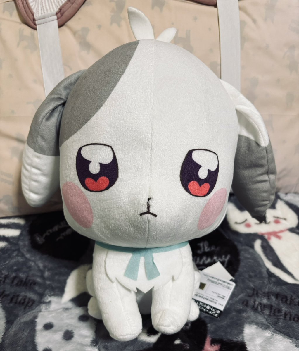 キュアゼシカのプリキュア垢✨ tweet media