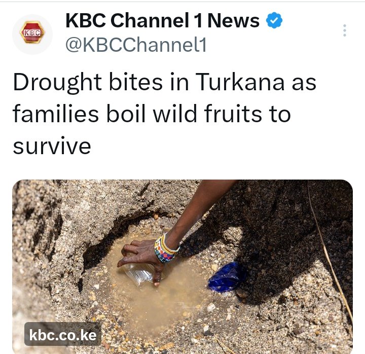 Bruno tweet media