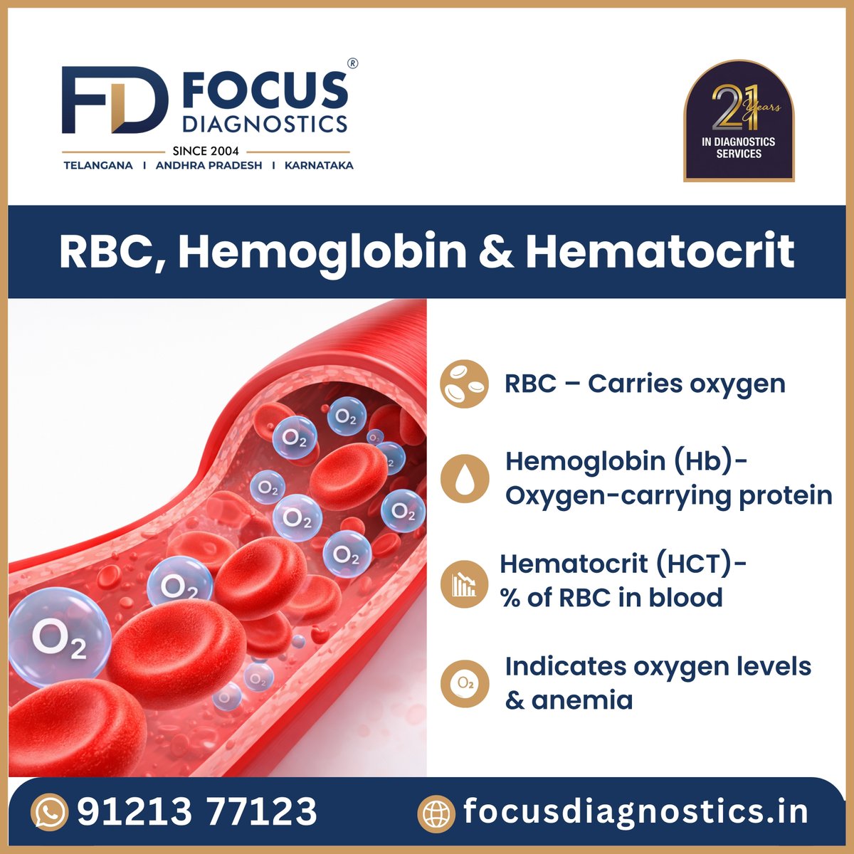 FocusDiagno's tweet image. Get your CBC done at Focus Diagnostics.  21 years | Hyderabad &amp;amp; across Telangana, AP, Karnataka 📞 91213 77123 | focusdiagnostics.in  Accurate. Trusted. Quick reports. 🩸  #CBCTest #BloodTest #FocusDiagnostics #HealthCheckup