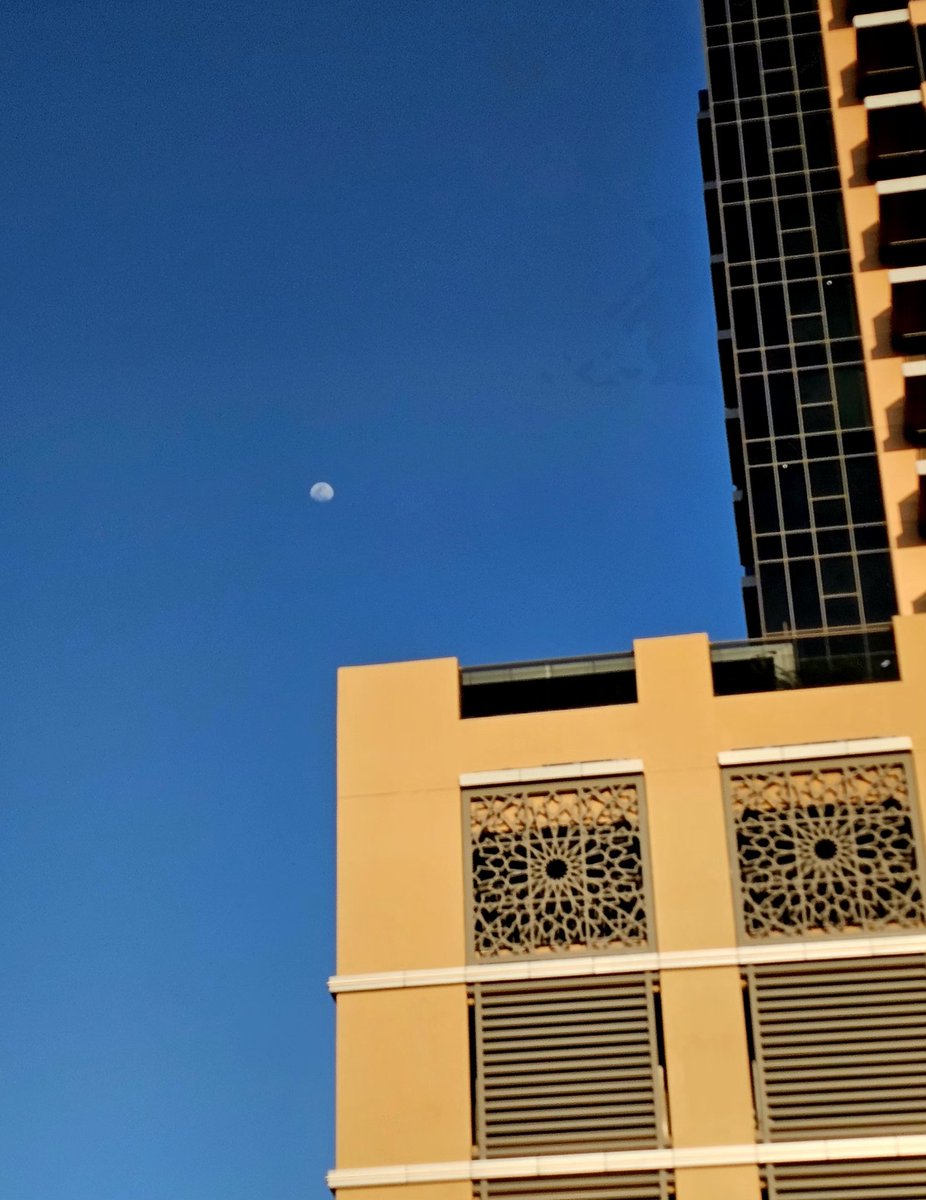 dard_e_disco_'s tweet image. #Blue 

💙💙