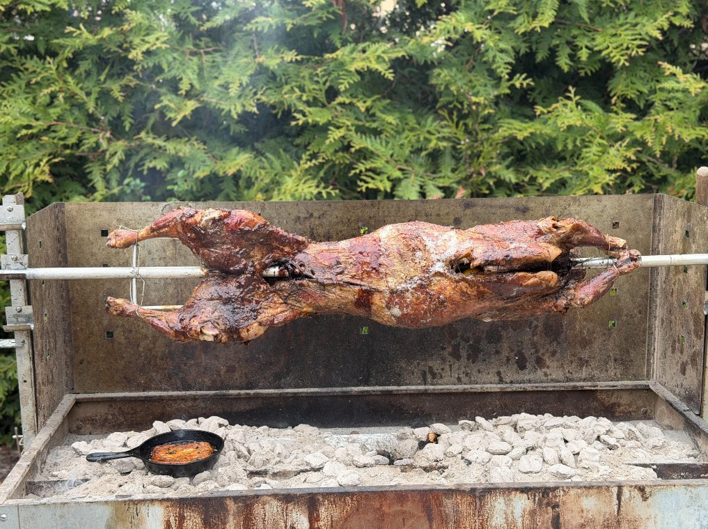 SarantosMelogia's tweet image. Love lamb on Greek Easter!

#GreekEaster #EasterSunday #LambLove #FoodMoments #SundayVibes #Tradition #FamilyTime #GoodFood #SimplePleasures #HomeCooking #EasterMeal #FoodLovers #TasteOfTradition #WeekendMood #FeastDay #ComfortFood #GatherTogether #CelebrationTime