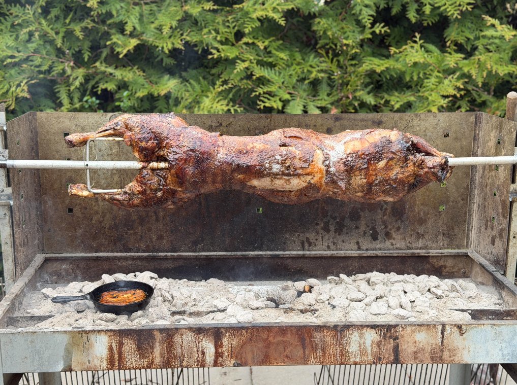 SarantosMelogia's tweet image. Love lamb on Greek Easter!

#GreekEaster #EasterSunday #LambLove #FoodMoments #SundayVibes #Tradition #FamilyTime #GoodFood #SimplePleasures #HomeCooking #EasterMeal #FoodLovers #TasteOfTradition #WeekendMood #FeastDay #ComfortFood #GatherTogether #CelebrationTime