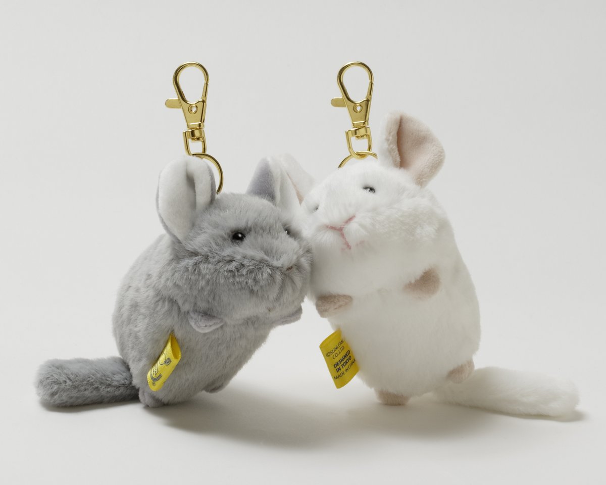 足立区生物園 tweet media