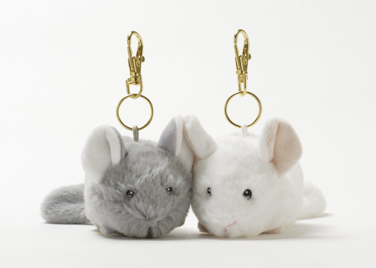 足立区生物園 tweet media