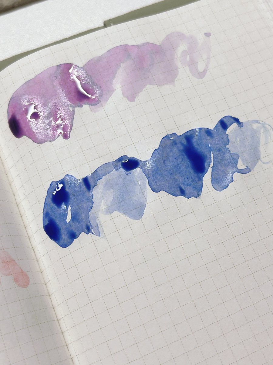 (텅장💰) 루다✨ tweet media