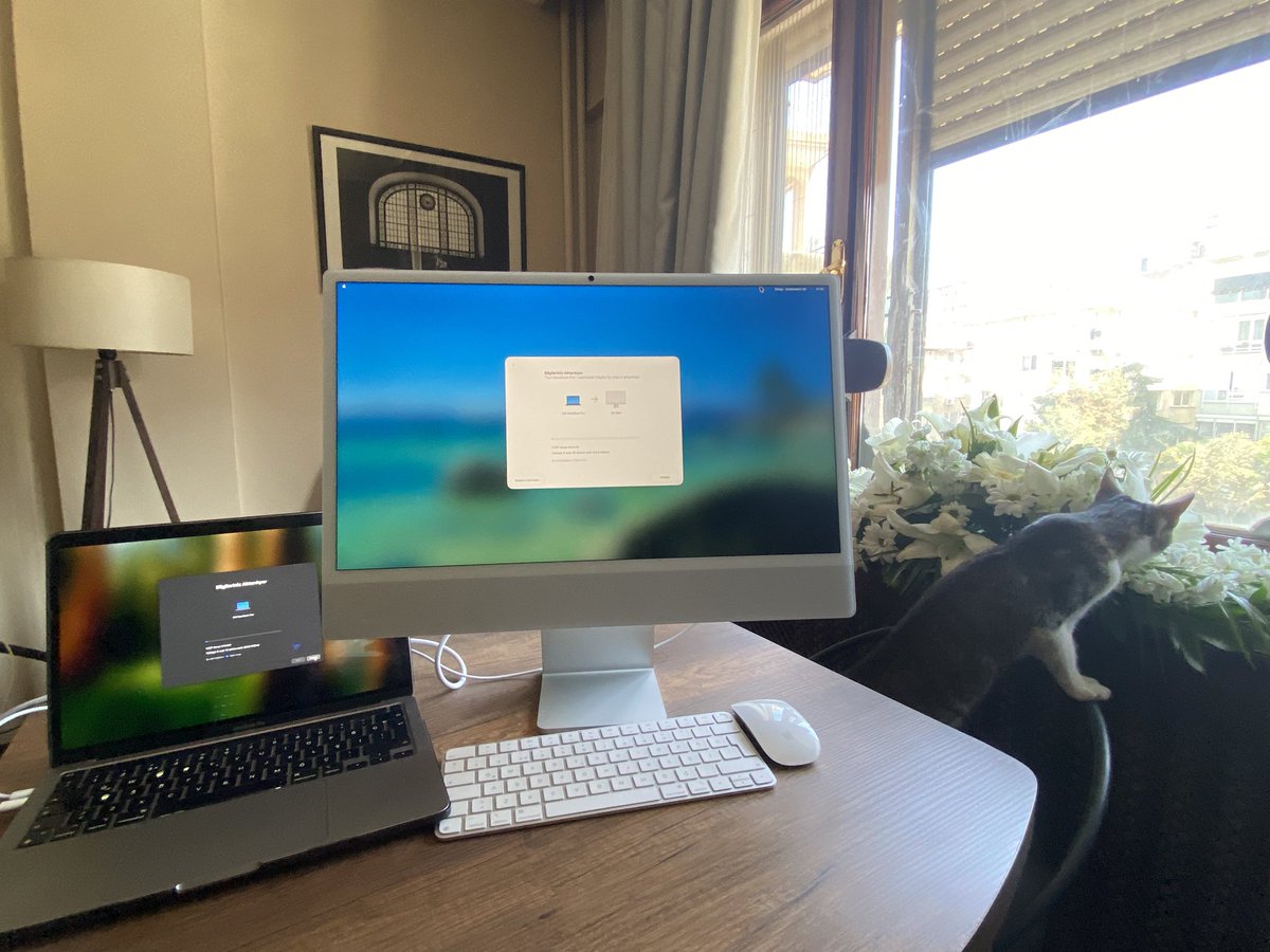 gulyildizart's tweet image. GM ❤️

My new Mac has arrived. Going from 13 inches to 24 inches is a feast for my eyes. 
Investing in my art is essential when the market is bad. I should work more now 🤣
I guess saw a cat there😻
#apple