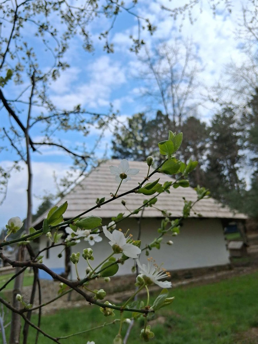 Travel_2Romania's tweet image. La Muzeul Satului bucovinean 
#Suceava #Spring #România
📸 Centrul cultural Bucovina