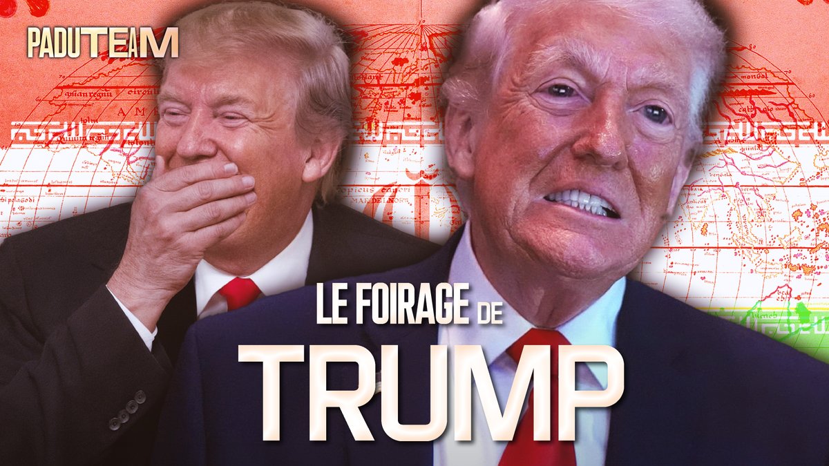 PaduTeam tweet media