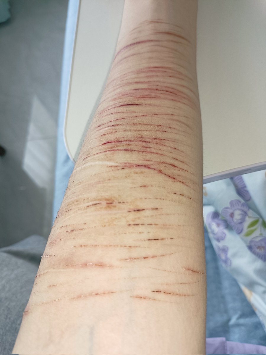 Einaちゃん🍥🏳️⚧️ tweet media