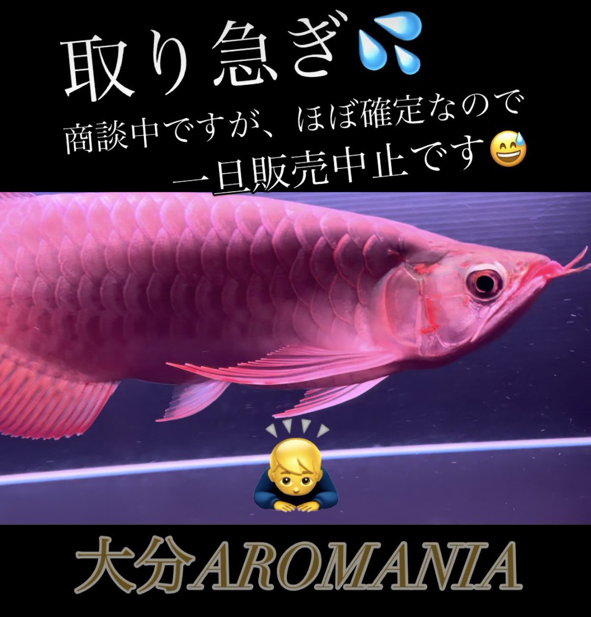 一旦ストップです?‍♂️ お客様情報確認後に確定するかと? #紅龍 