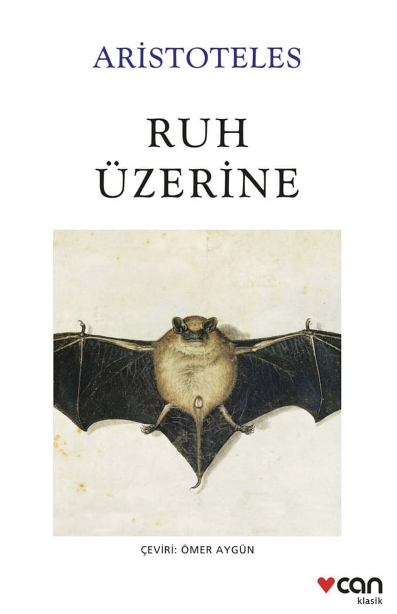 Erdeşir tweet media