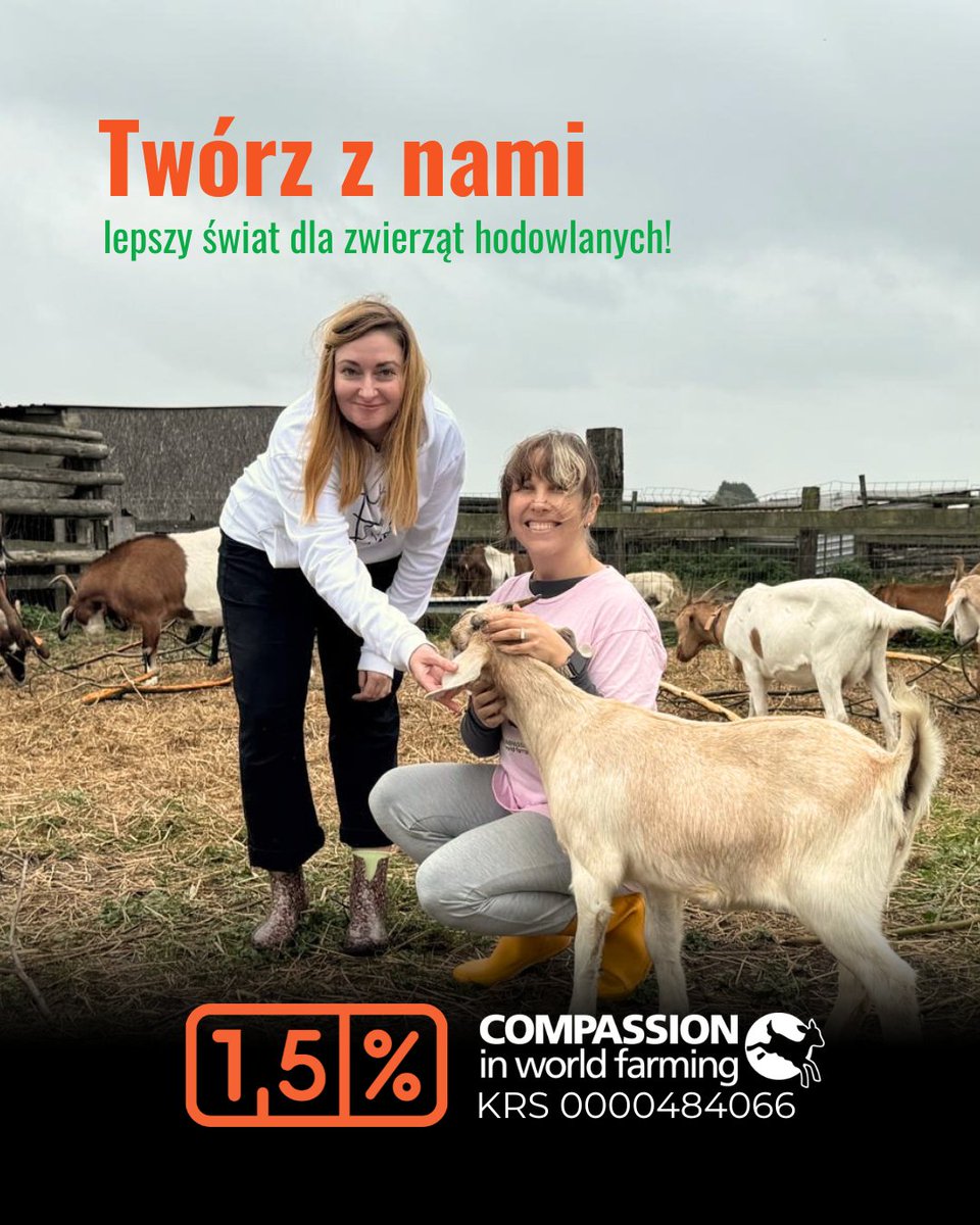 Compassion Polska tweet media