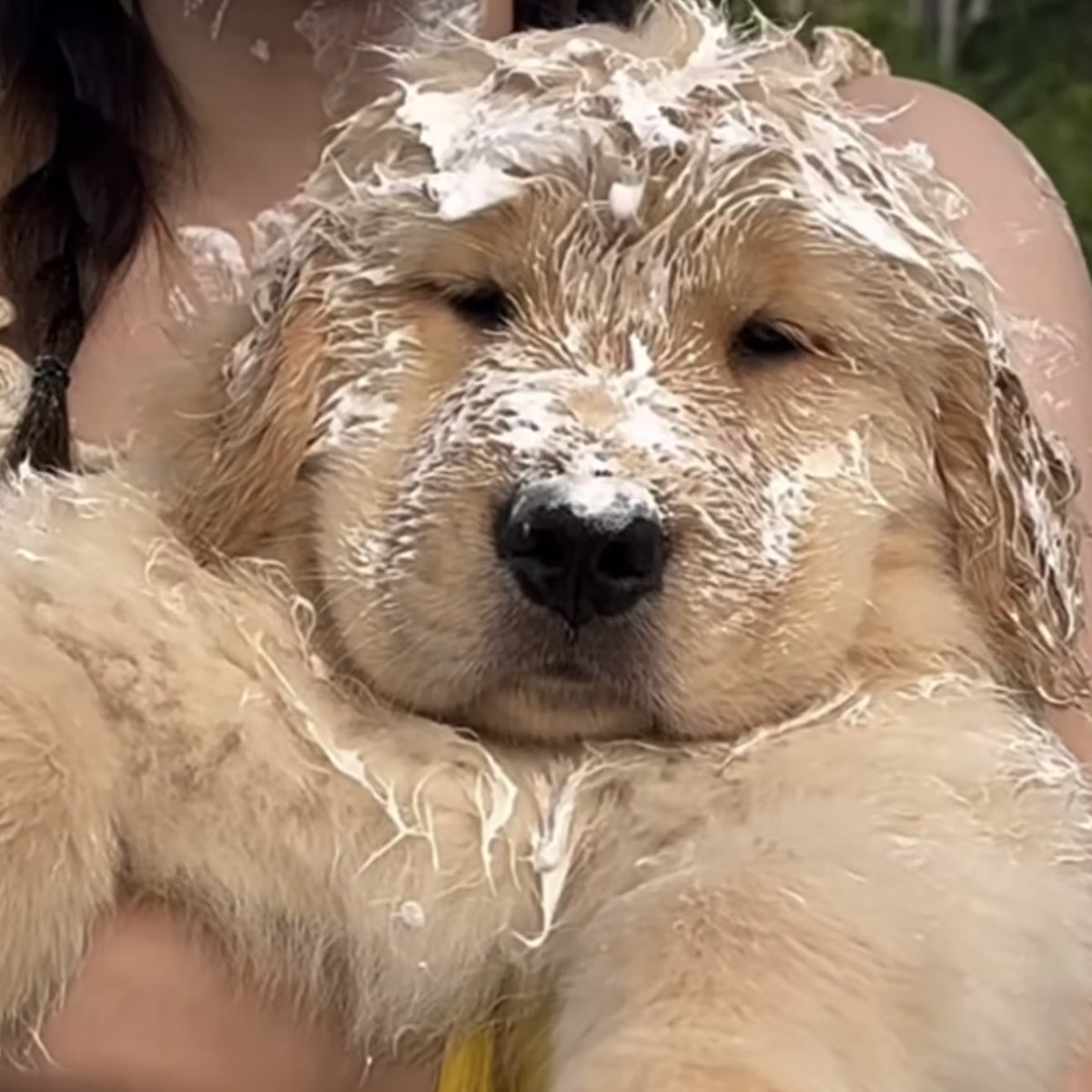 ૮ 핌 ა🧤 (@babipuppykiddo) on Twitter photo 