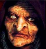 Roberta Lerici tweet media