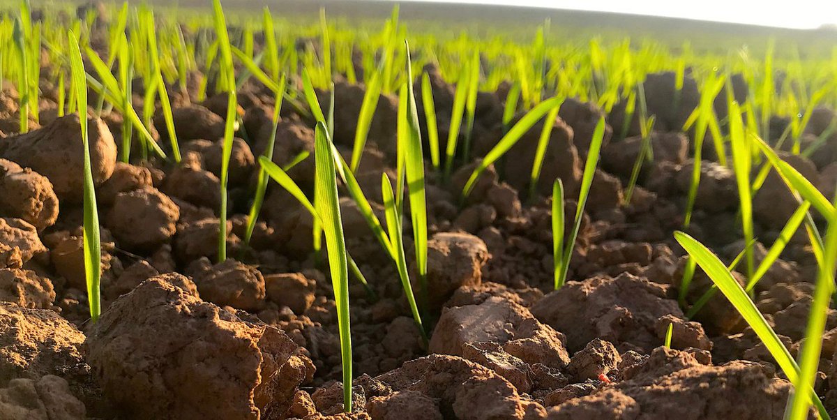 ProCam UK tweet media