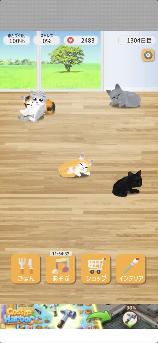 reyla_m's tweet photo. 猫もスクスク成長中！ https://t.co/CBYGwom69Q