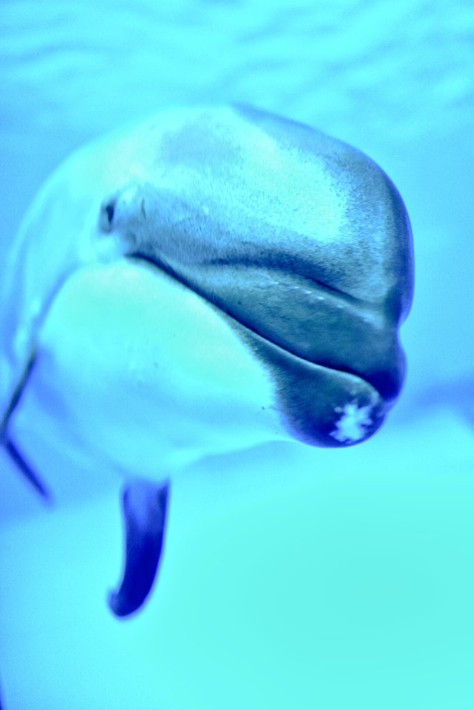 アルス@4/26🧭ノーム、4/27🧭🦋❄️、5/6🔎隊長 tweet media