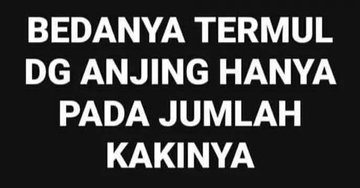 𝚃𝚑𝚊𝚒𝚛𝚊𝚗 𝙰𝚋ā𝚋ī𝚕 tweet media