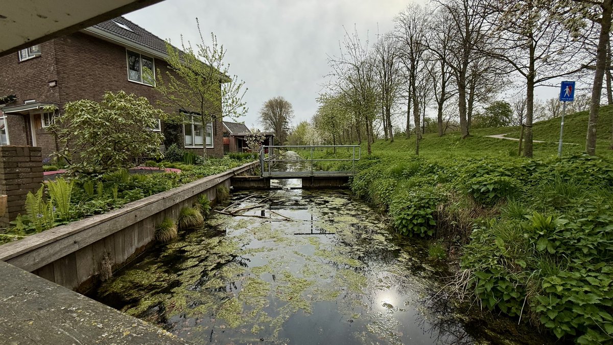 brad kaplan tweet media