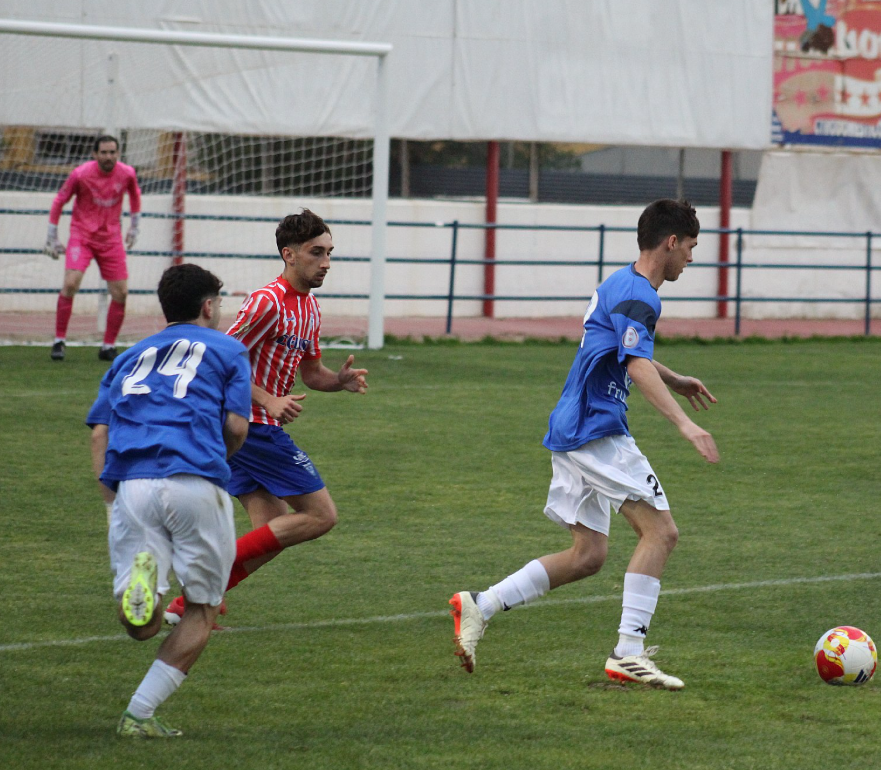 PreferenteAUT tweet media