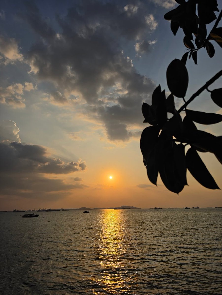 ALMONDPROGRESS_OURLOVE tweet media