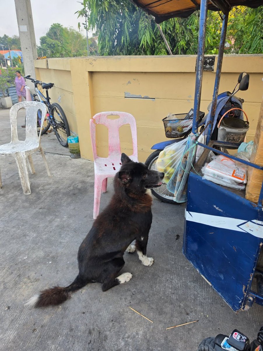 ALMONDPROGRESS_OURLOVE tweet media