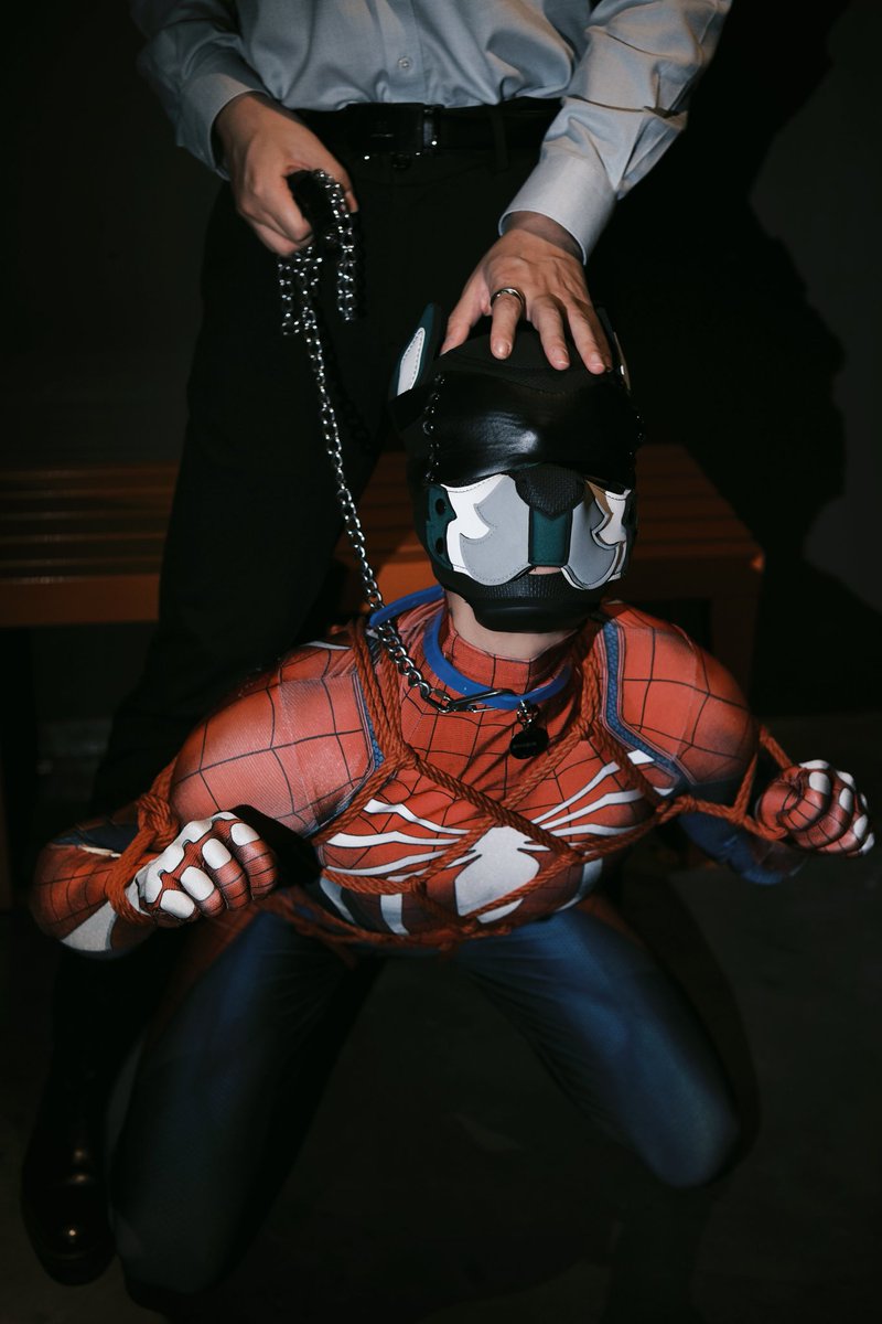 木村🐶 tweet media