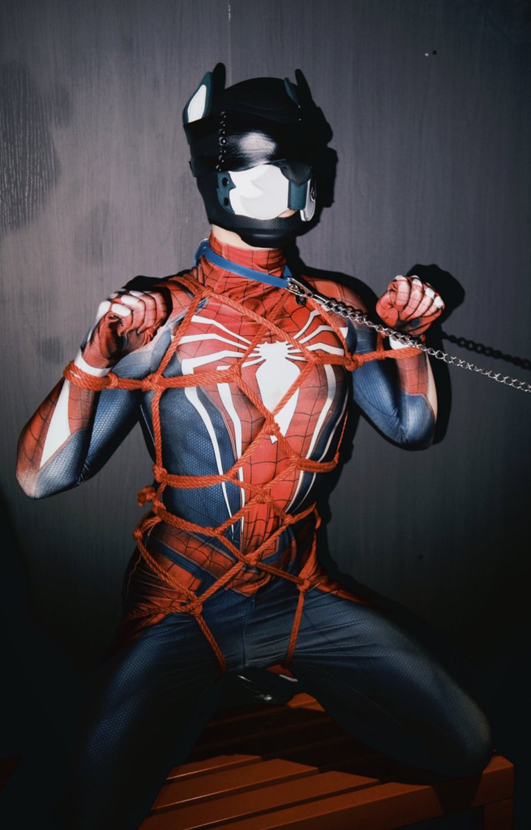 木村🐶 tweet media