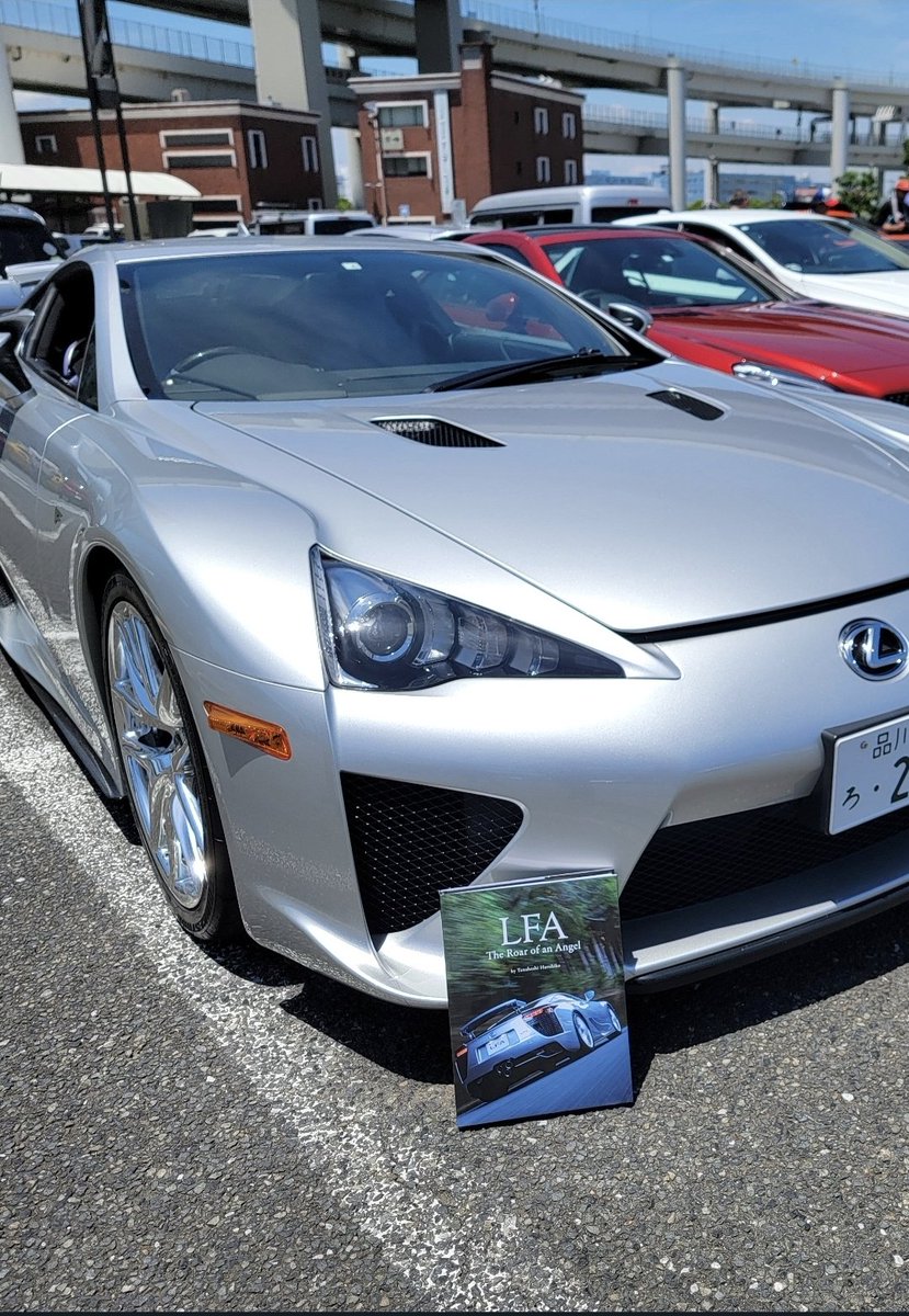 Angelfish tweet media