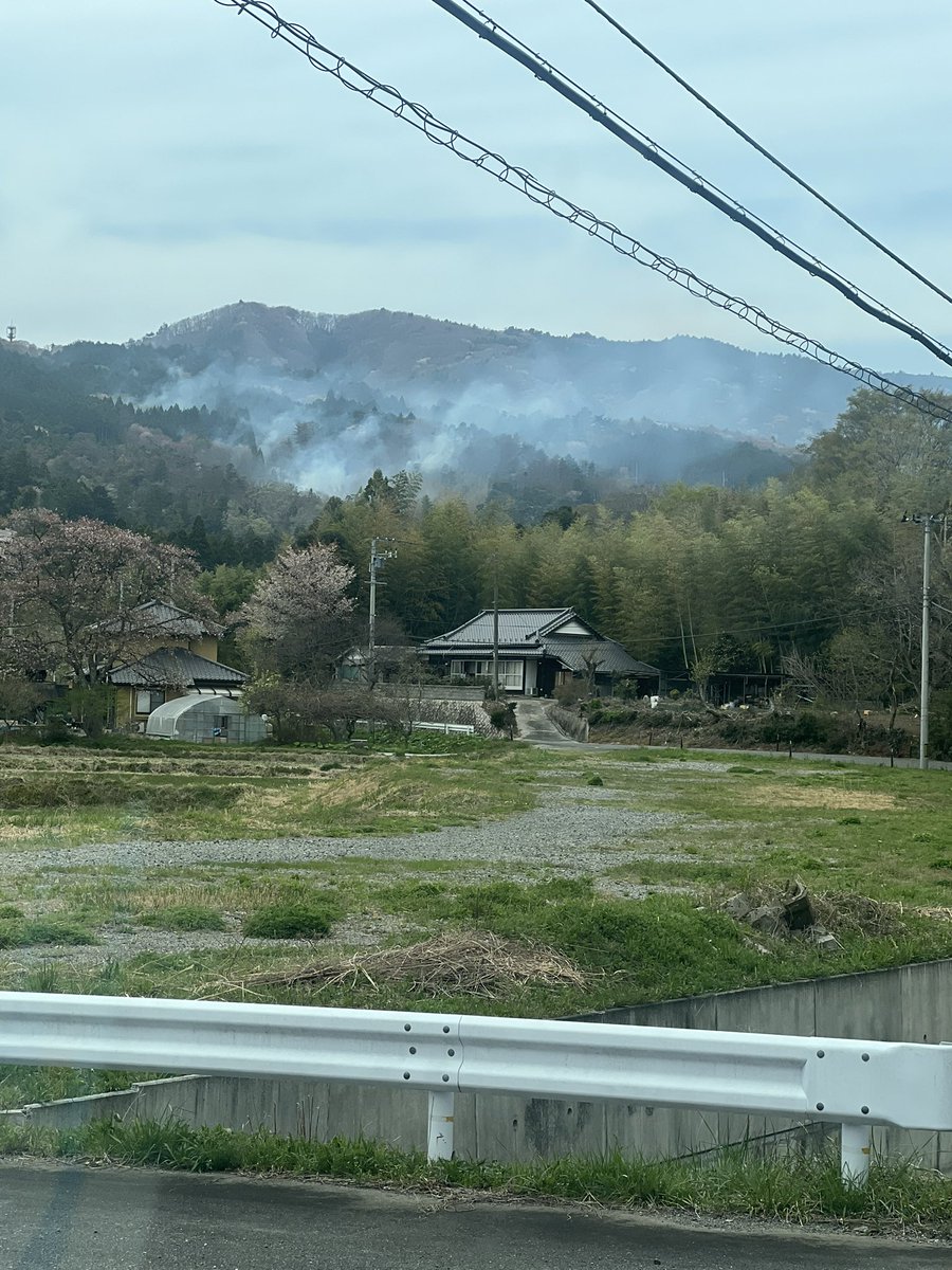 烏氏（よっち） tweet media