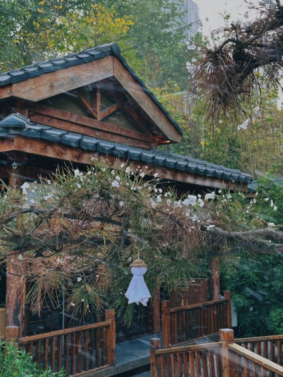 Tim Duit tweet media