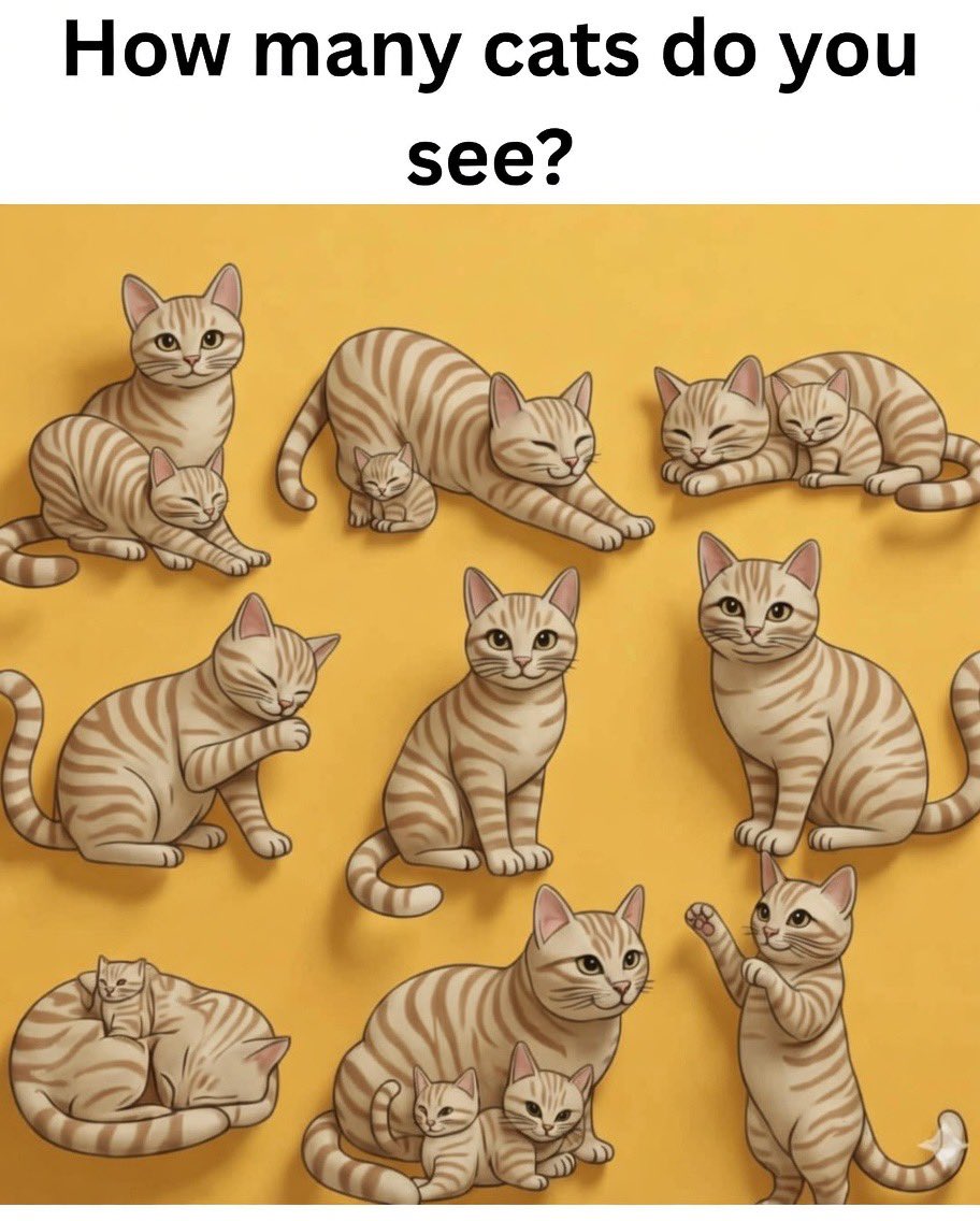 becute134's tweet photo. How many cats do you see ? https://t.co/3S7RLmDd4e