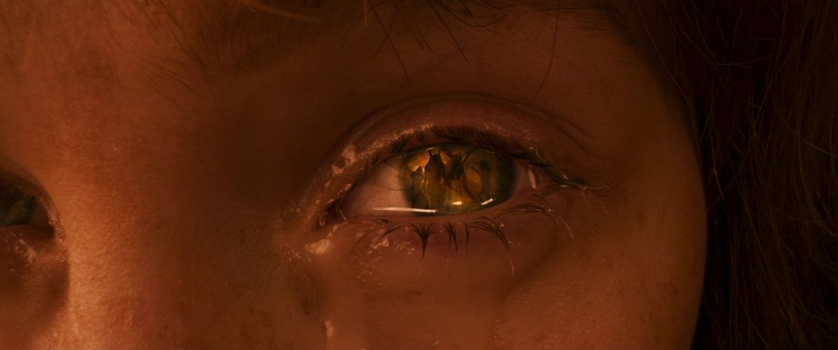 FilmFrame tweet media