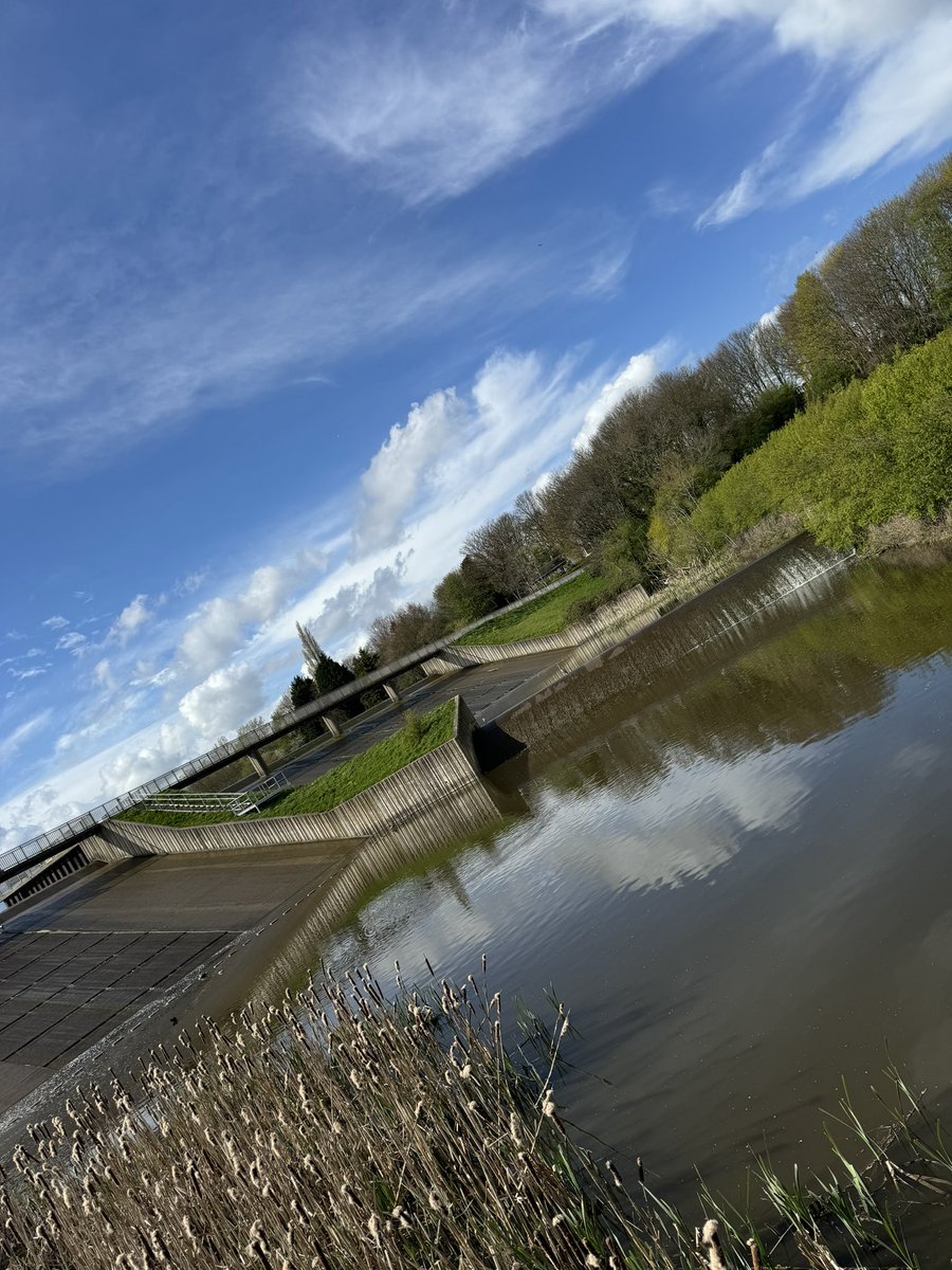 Darrell Mitchell #MDANT tweet media