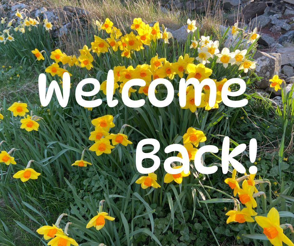 NESClib's tweet image. Welcome back! Hope you’re refreshed and ready for the new term 🎓📚 Pop into the library for books, eBooks, study space, IT help &amp;amp; friendly faces 😊 
#StudyMode #BackToReality #NESClib