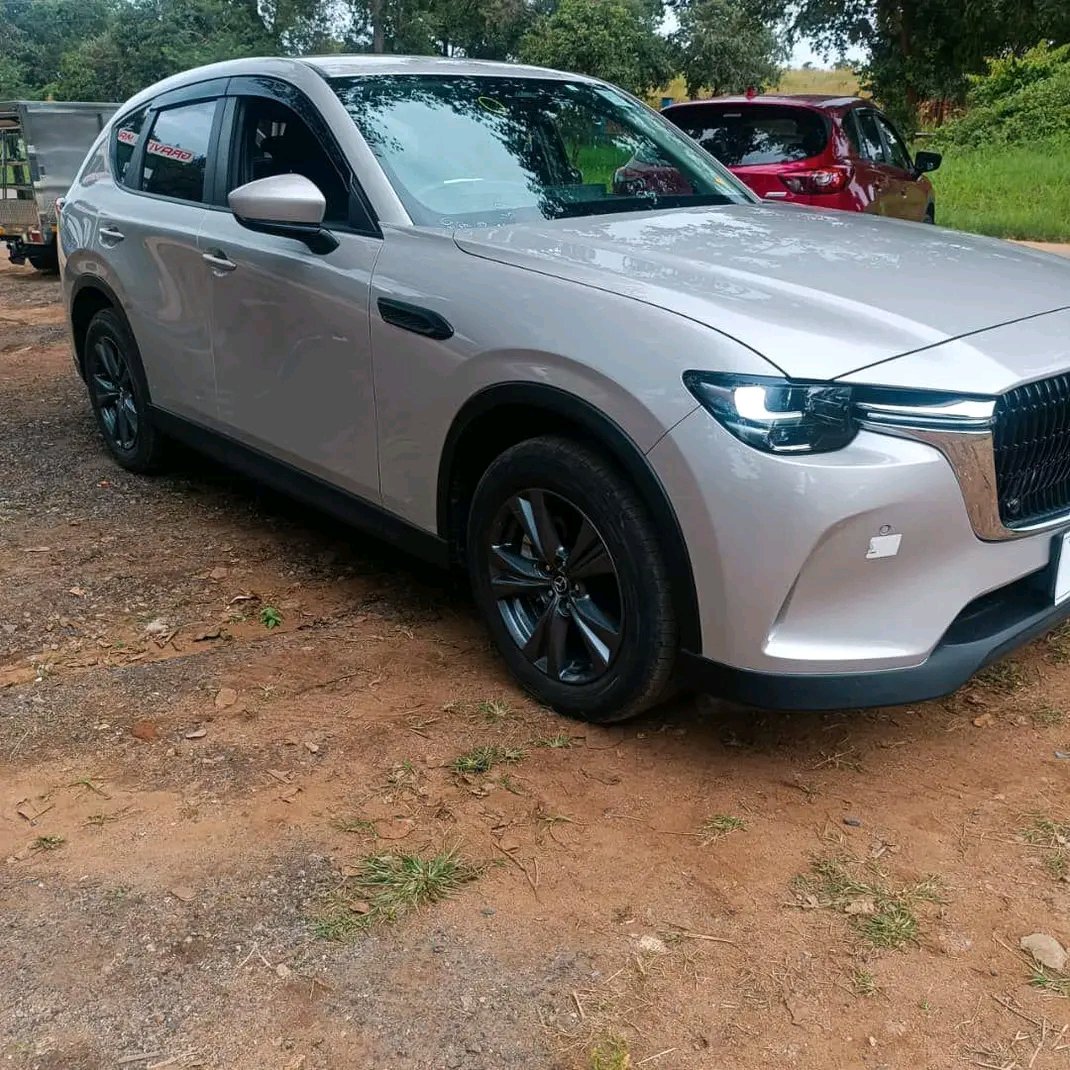 TYLER🇲🇼🇬🇧 tweet media