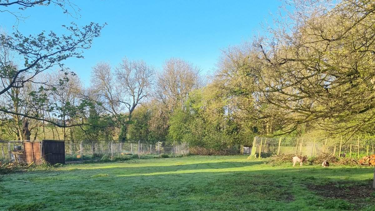 mo_racing's tweet image. A fresh #spring #mondaymorning at the Kennels.