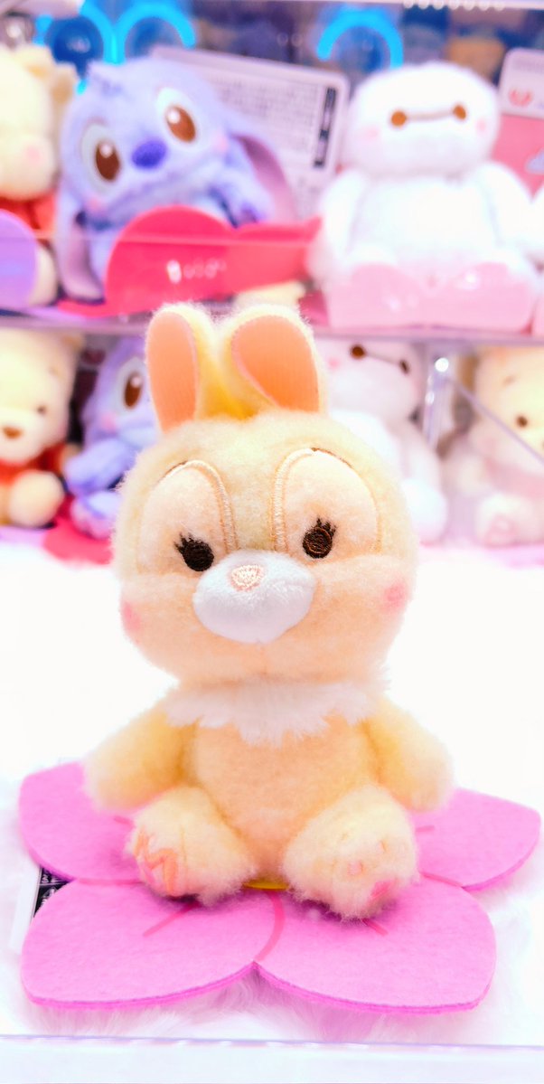 ばね＠Ｄ tweet media