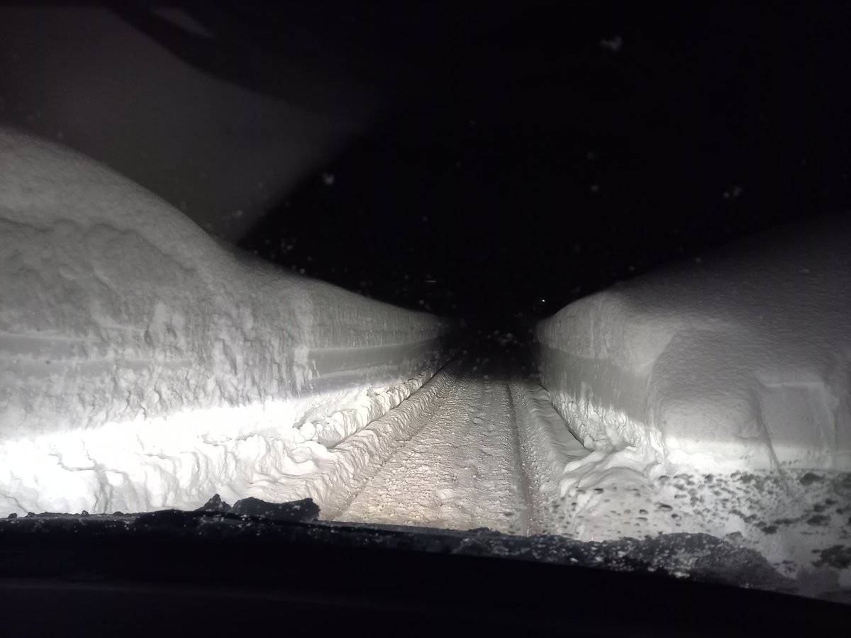 李、桜、雪柳、菜の花、梅、水仙、椿が一気に咲いて賑やかです。長く厳しい冬が去った実感がわきます。